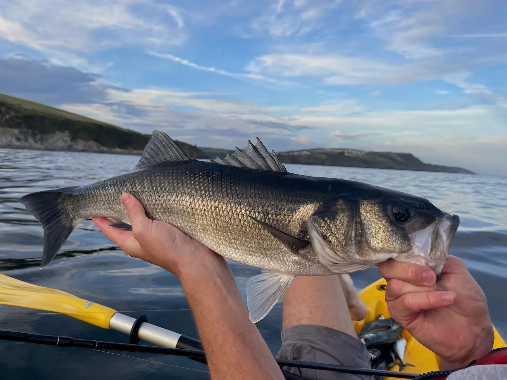 how to fish for bass in spring
